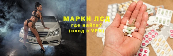 стаф Магадан