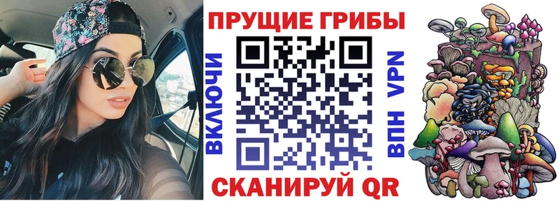 сколько стоит  Светлый  Галлюциногенные грибы Magic Shrooms 